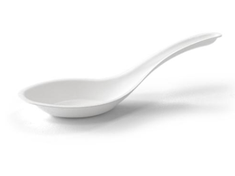 Sugarcane Soup Spoons
