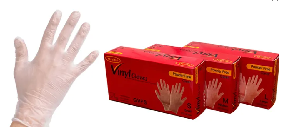 Vinyl Gloves Powder Free - Large